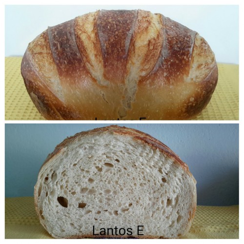 Kovászos fehér kenyér 2017.01.05-06.